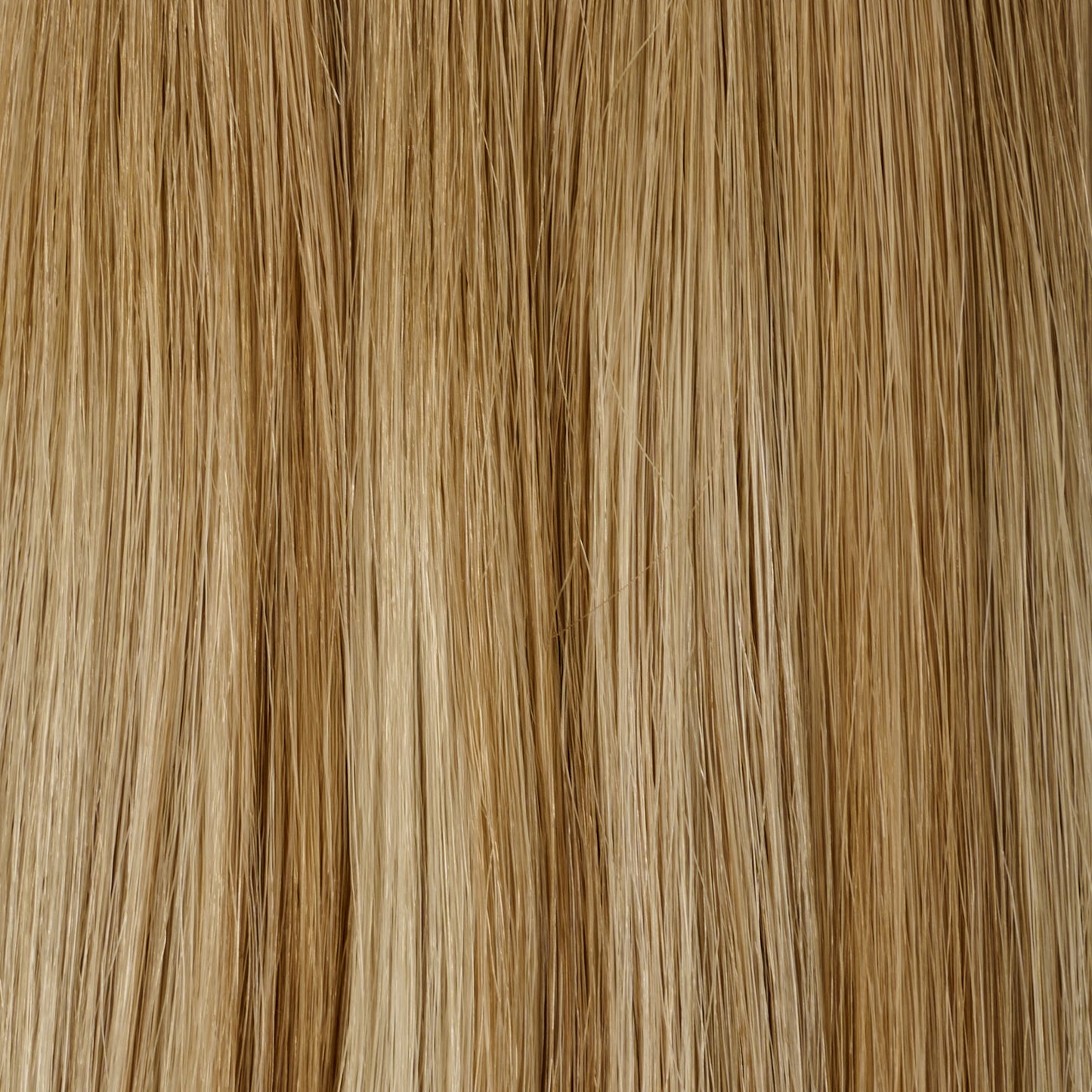 Champagne: Infinity Wefts